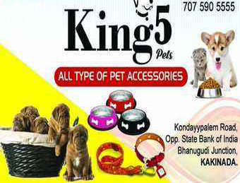 King 5 pets, KAKINADA